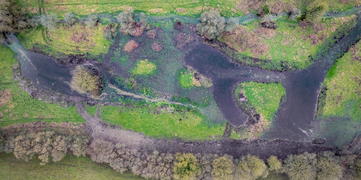 Hamble Restoration: Phase 2