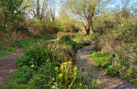 220420_EwelmeBrook_CG_03