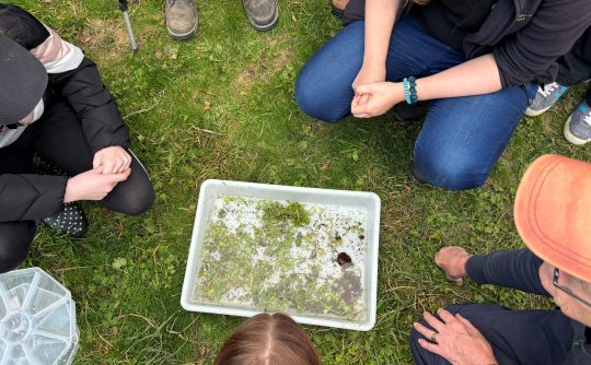 RiverFly Boxmoor-Bulbourne October 2024 14 LAND