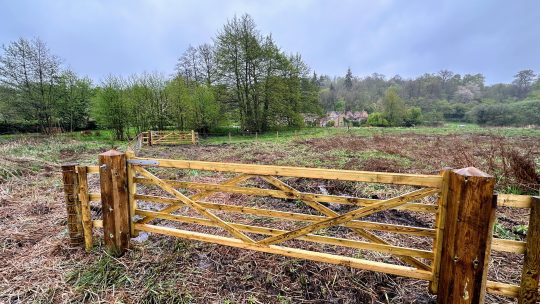 Fencing to allow grazing at Mill Farm Meadow