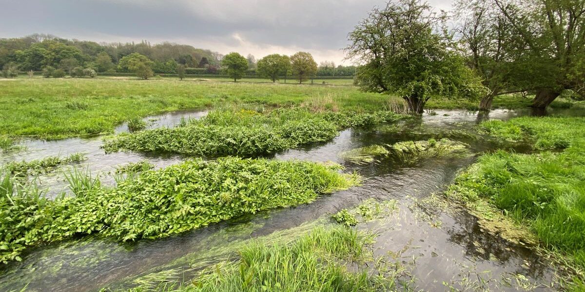 Chilterns Chalk Streams Project set to 'Mend the Misbourne'