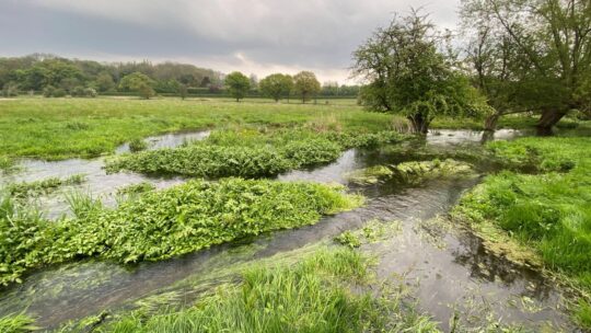 Chilterns Chalk Streams Project set to 'Mend the Misbourne'